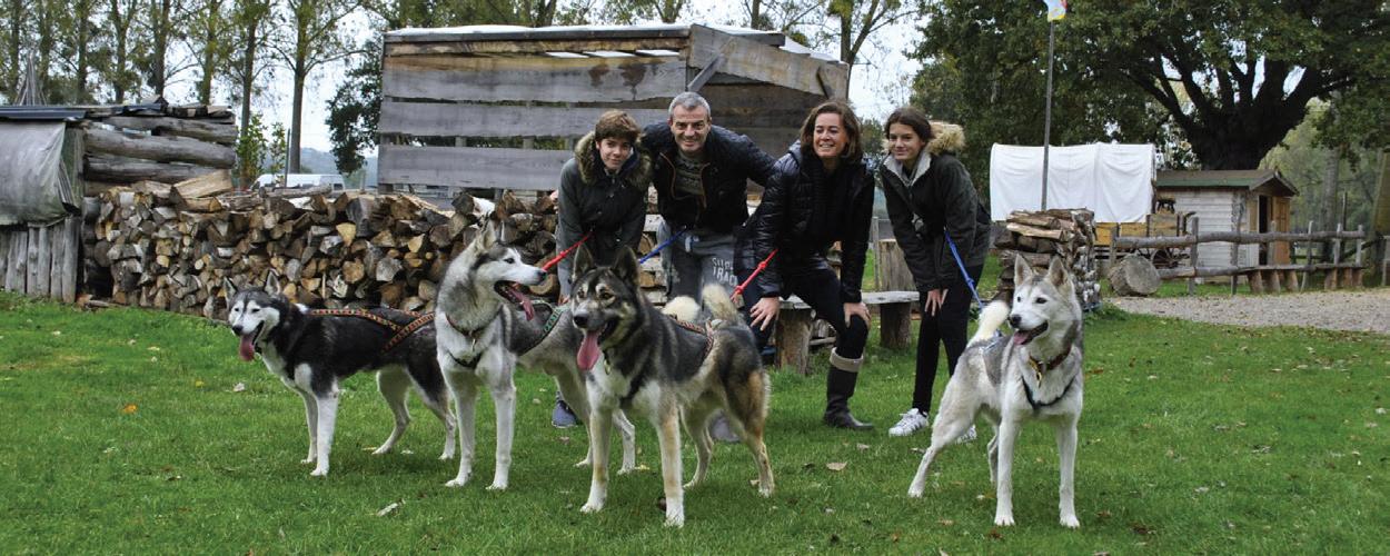 Sled Ride Dog - Sarthe - 72